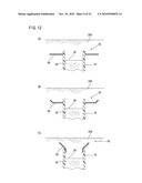 SUBIRRIGATION SYSTEM diagram and image