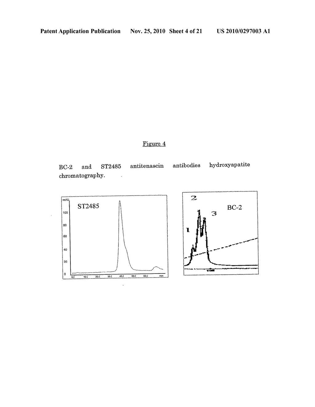 Anti-human tenascin monoclonal antibody - diagram, schematic, and image 05