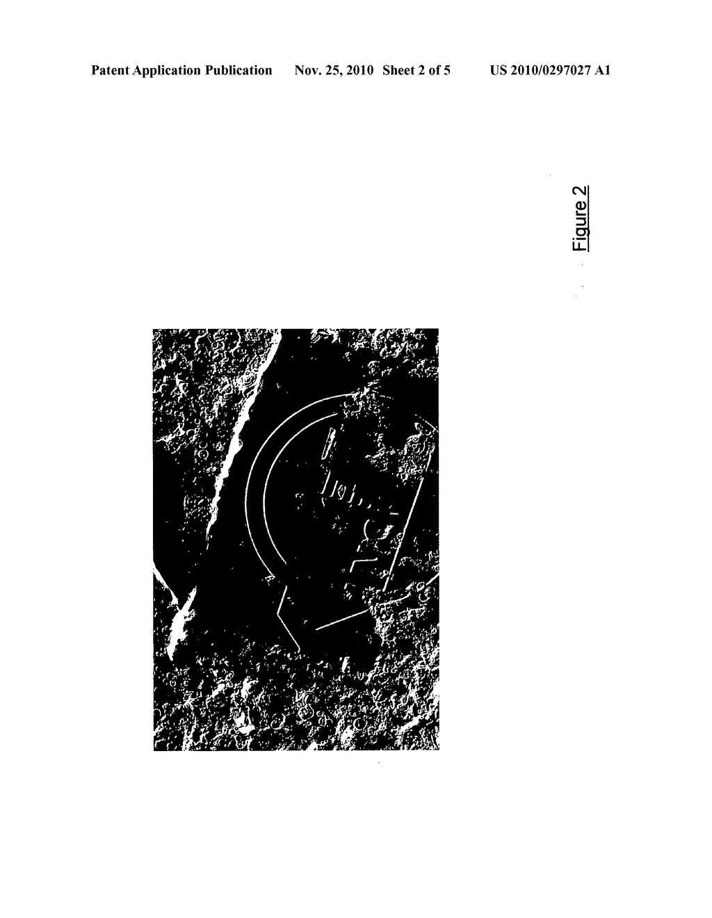 Overt authentication features for compositions and objects and methods of fabrication and verification thereof - diagram, schematic, and image 03