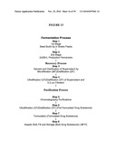 Stable Formulations Of Recombinant Human Albumin-Human Granulocyte Colony Stimulating Factor diagram and image