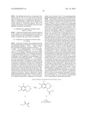 COMBINATIONAL COMPOSITIONS AND METHODS FOR TREATMENT OF CANCER diagram and image