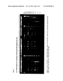 Bacteriophage preparations and methods of use thereof diagram and image