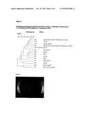 Bacteriophage preparations and methods of use thereof diagram and image