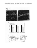 SEROTONIN 5-HT3A RECEPTORS IN TREATMENT OF NEUROLOGICAL AND PSYCHIATRIC DISORDERS diagram and image