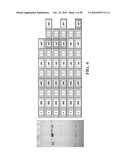 ANTIGEN PRESENTING CELL TARGETED VACCINES diagram and image