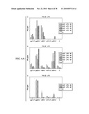 ANTIGEN PRESENTING CELL TARGETED VACCINES diagram and image