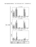 ANTIGEN PRESENTING CELL TARGETED VACCINES diagram and image