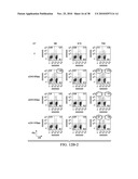 ANTIGEN PRESENTING CELL TARGETED VACCINES diagram and image