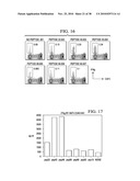 ANTIGEN PRESENTING CELL TARGETED VACCINES diagram and image