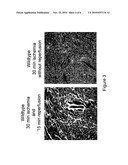 USES OF A GLYCOPROTEIN VI (GPVI) INHIBITOR diagram and image