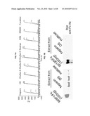 INDUCED INTERNALIZATION OF SURFACE RECEPTORS diagram and image