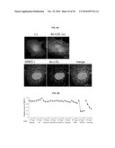 INDUCED INTERNALIZATION OF SURFACE RECEPTORS diagram and image