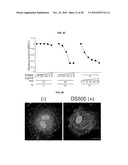 INDUCED INTERNALIZATION OF SURFACE RECEPTORS diagram and image