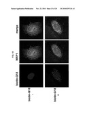 INDUCED INTERNALIZATION OF SURFACE RECEPTORS diagram and image