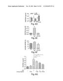 METHODS AND COMPOSITIONS FOR THE TREATMENT OF PROTEINURIC DISEASES diagram and image