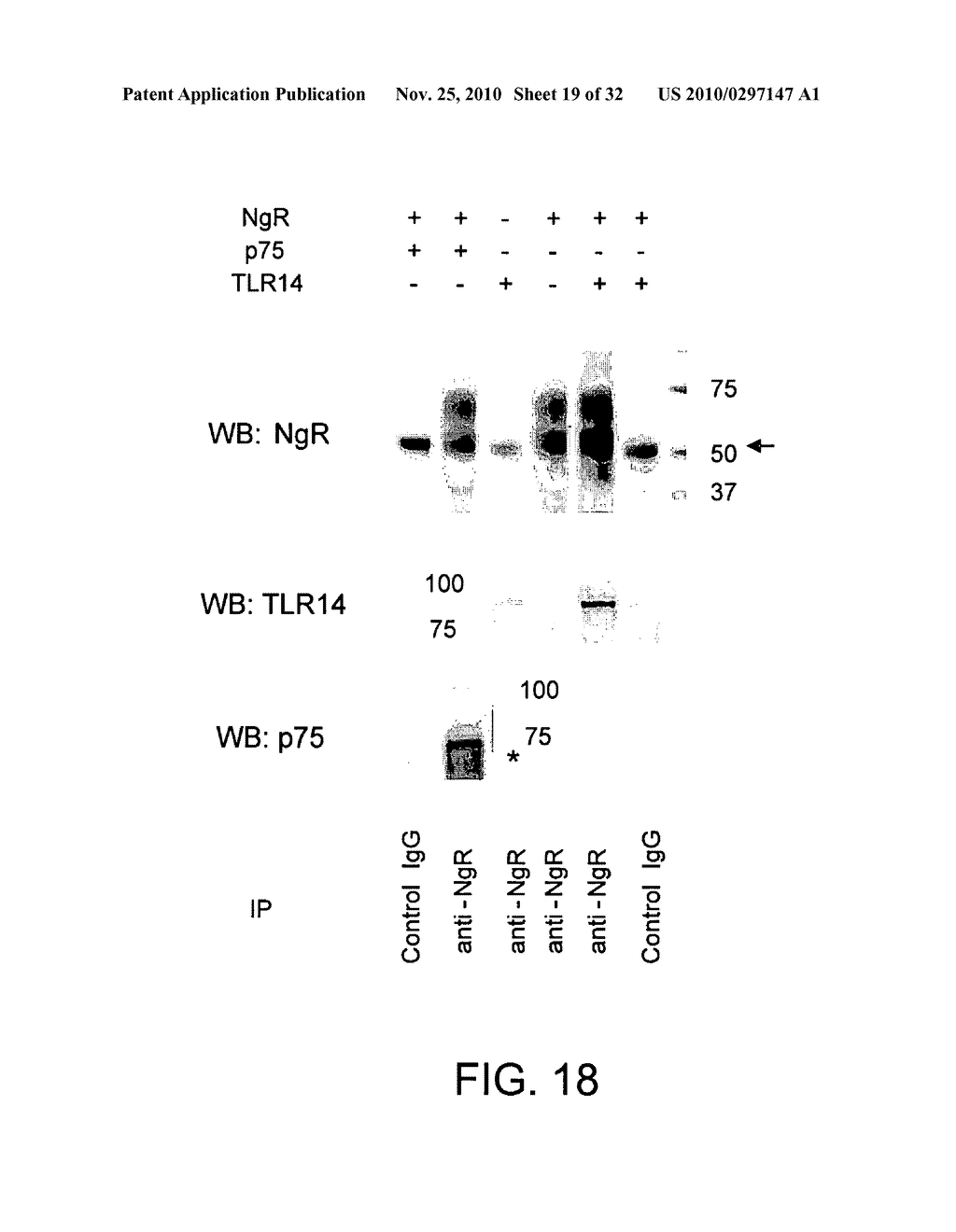 COMPOSITIONS AND METHODS FOR MODULATING TLR14 ACTIVITY - diagram, schematic, and image 20
