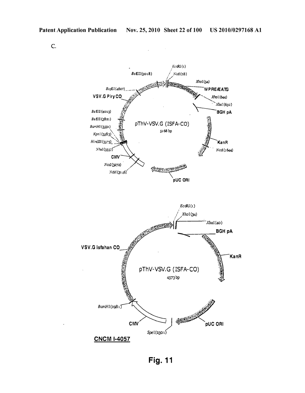 LENTIVIRAL GENE TRANSFER VECTORS AND THEIR MEDICINAL APPLICATIONS - diagram, schematic, and image 23