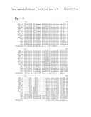 MUTATED PARVOVIRUS STRUCTURAL PROTEINS AS VACCINES diagram and image