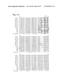 MUTATED PARVOVIRUS STRUCTURAL PROTEINS AS VACCINES diagram and image