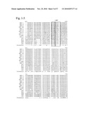 MUTATED PARVOVIRUS STRUCTURAL PROTEINS AS VACCINES diagram and image