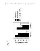 MUTATED PARVOVIRUS STRUCTURAL PROTEINS AS VACCINES diagram and image