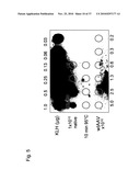 MUTATED PARVOVIRUS STRUCTURAL PROTEINS AS VACCINES diagram and image