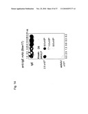 MUTATED PARVOVIRUS STRUCTURAL PROTEINS AS VACCINES diagram and image