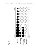 MUTATED PARVOVIRUS STRUCTURAL PROTEINS AS VACCINES diagram and image