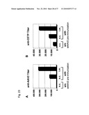 MUTATED PARVOVIRUS STRUCTURAL PROTEINS AS VACCINES diagram and image