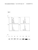 Immunology Treatment for Biofilms diagram and image