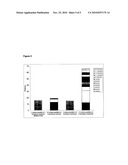 Immunology Treatment for Biofilms diagram and image