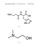 Injectable Amino-acid Composition diagram and image