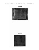 UNIVERSAL COATING FOR IMPRINTING IDENTIFICATION FEATURES diagram and image