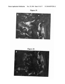 UNIVERSAL COATING FOR IMPRINTING IDENTIFICATION FEATURES diagram and image