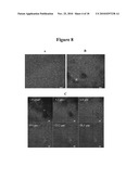 Multifunctional and Biologically Active Matrices from Multicomponent Polymeric Solutions diagram and image