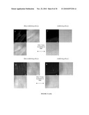 Multifunctional and Biologically Active Matrices from Multicomponent Polymeric Solutions diagram and image