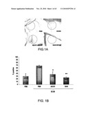 METHODS AND COMPOSITIONS FOR INHIBITING INTEGRINS USING TELLURIUM-CONTAINING COMPOUNDS diagram and image