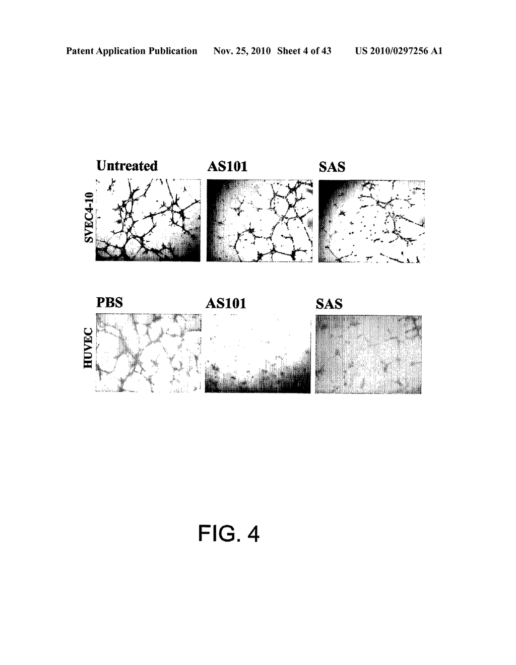 METHODS AND COMPOSITIONS FOR INHIBITING INTEGRINS USING TELLURIUM-CONTAINING COMPOUNDS - diagram, schematic, and image 05