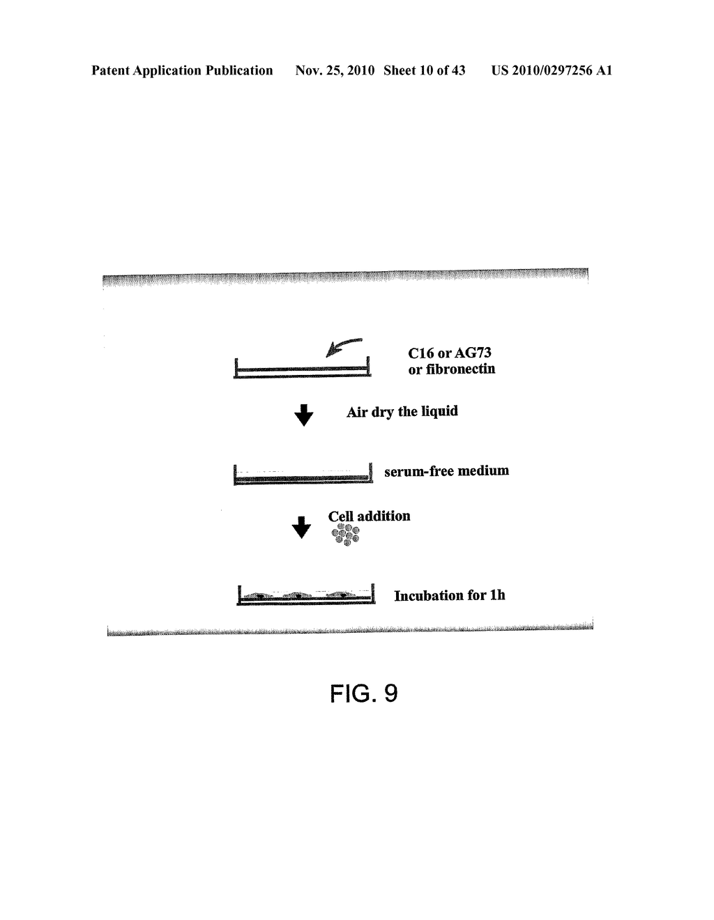 METHODS AND COMPOSITIONS FOR INHIBITING INTEGRINS USING TELLURIUM-CONTAINING COMPOUNDS - diagram, schematic, and image 11