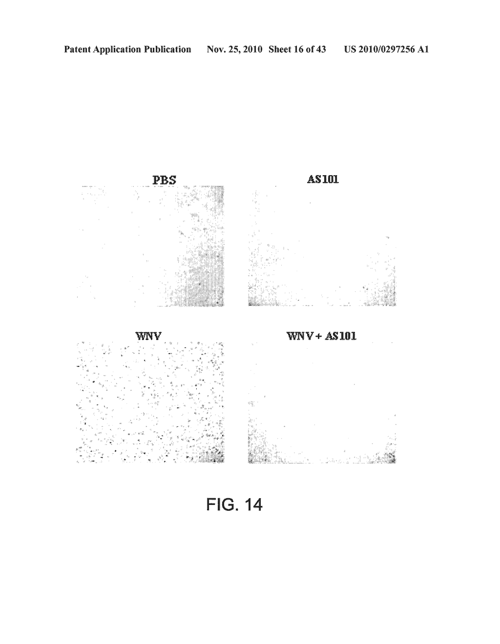 METHODS AND COMPOSITIONS FOR INHIBITING INTEGRINS USING TELLURIUM-CONTAINING COMPOUNDS - diagram, schematic, and image 17