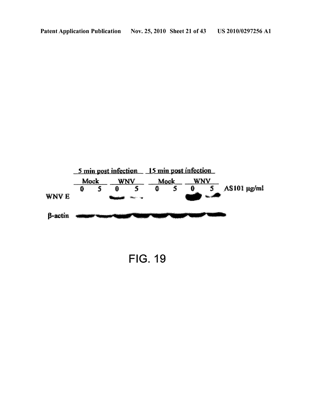 METHODS AND COMPOSITIONS FOR INHIBITING INTEGRINS USING TELLURIUM-CONTAINING COMPOUNDS - diagram, schematic, and image 22