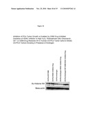 PHARMACEUTICALLY ACTIVE COMPOSITIONS COMPRISING OXIDATIVE STRESS MODULATORS (OSM), NEW CHEMICAL ENTITIES, COMPOSITIONS AND USES diagram and image