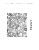 FREE-STANDING SILICON CARBIDE ARTICLES FORMED BY CHEMICAL VAPOR DEPOSITION AND METHODS FOR THEIR MANUFACTURE diagram and image