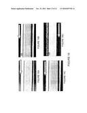 FREE-STANDING SILICON CARBIDE ARTICLES FORMED BY CHEMICAL VAPOR DEPOSITION AND METHODS FOR THEIR MANUFACTURE diagram and image