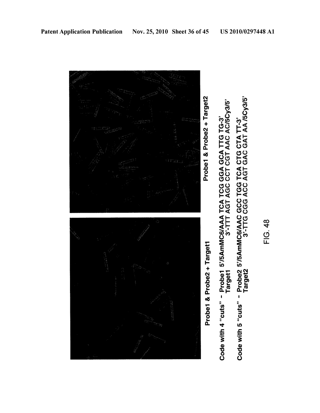 MINIATURIZED MICROPARTICLES - diagram, schematic, and image 37