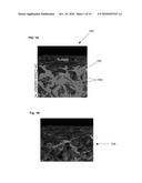 IMMOBILIZED FLUID MEMBRANES FOR GAS SEPARATION diagram and image