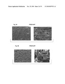 IMMOBILIZED FLUID MEMBRANES FOR GAS SEPARATION diagram and image