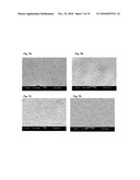 IMMOBILIZED FLUID MEMBRANES FOR GAS SEPARATION diagram and image