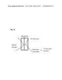 IMMOBILIZED FLUID MEMBRANES FOR GAS SEPARATION diagram and image