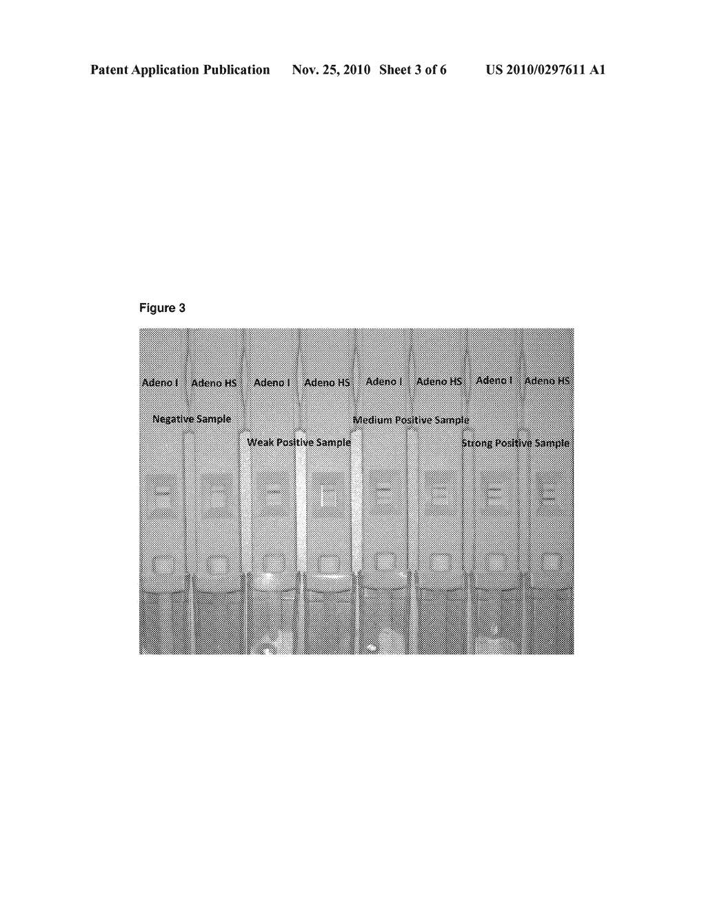 Method and Device For Combined Detection Of Viral And Bacterial Infections - diagram, schematic, and image 04